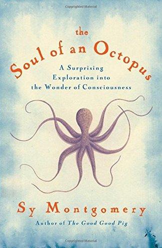 THE SOUL OF AN OCTOPUS