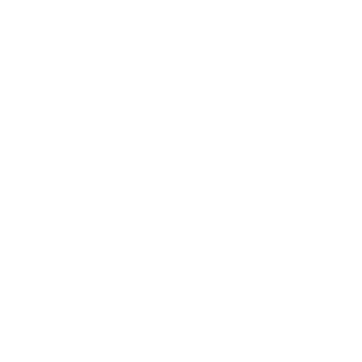 Randers FC